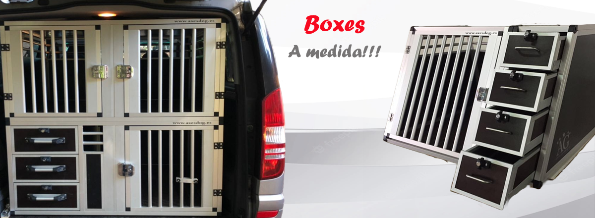Soluciones AxesDog para transporte profesional de perros