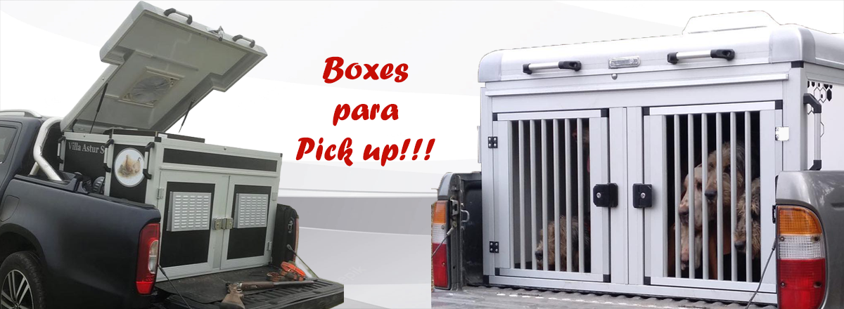 Remolques y soluciones de transporte para perros AxesDog